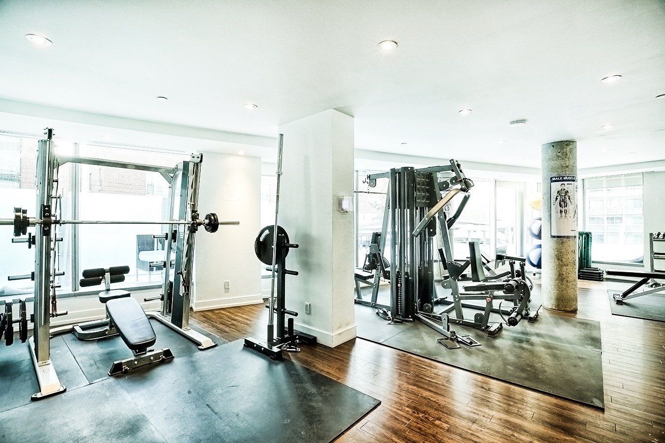 State of the art fitness centre with a mixture of free weights, elliptical trainers and training bikes