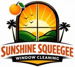Sunshine Squeegee Window Cleaning