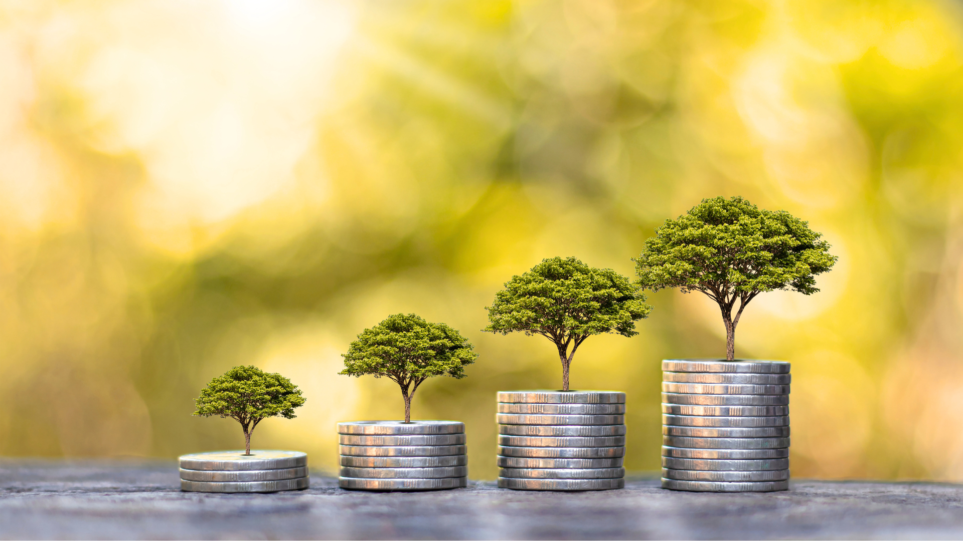 A stack of coins with trees growing out of them.
