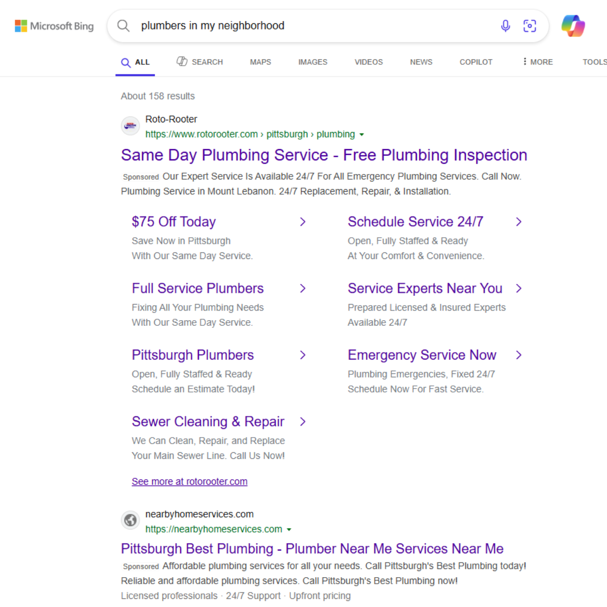A screenshot of a google search for plumbing services