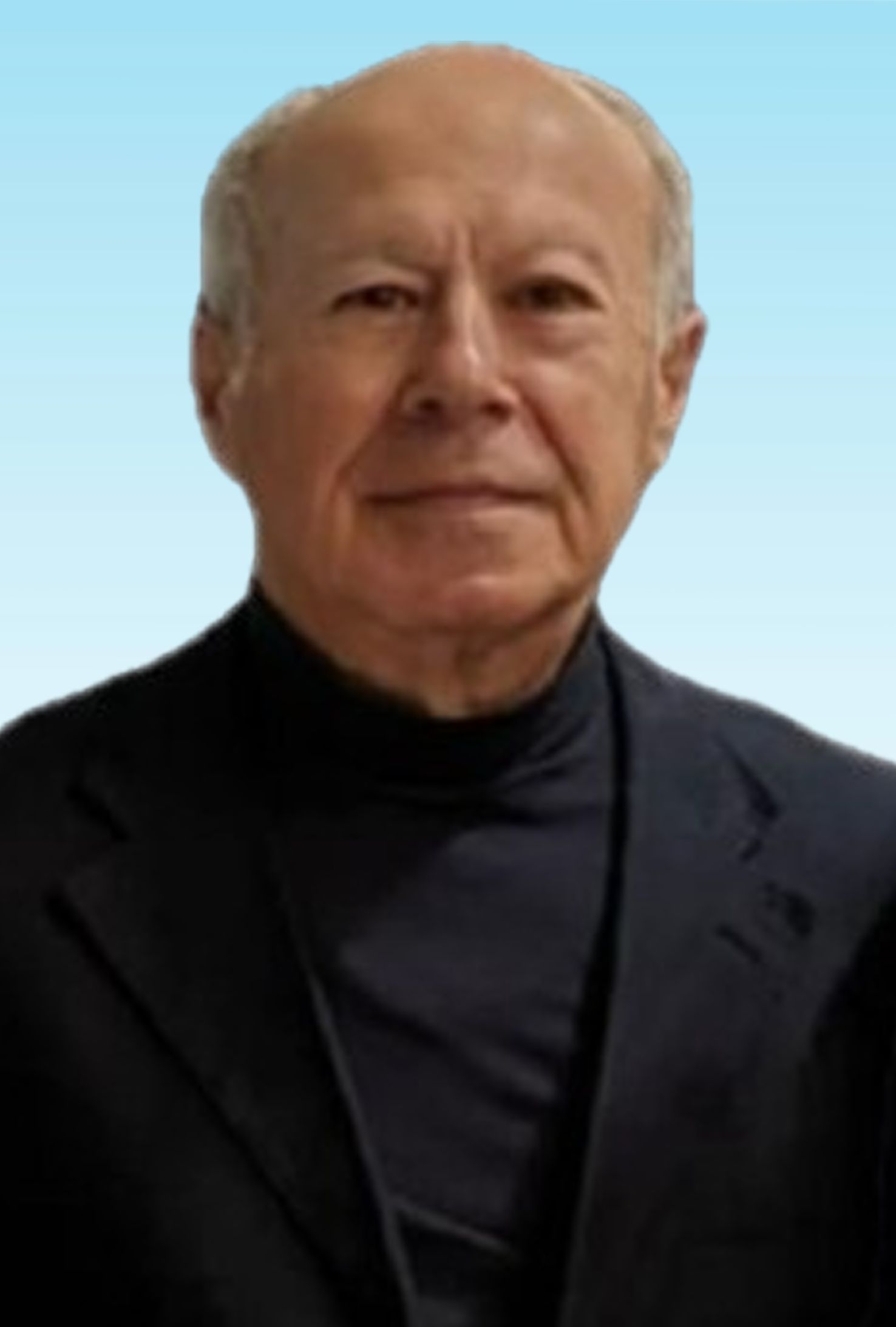 Prof. Luigi Di Martino