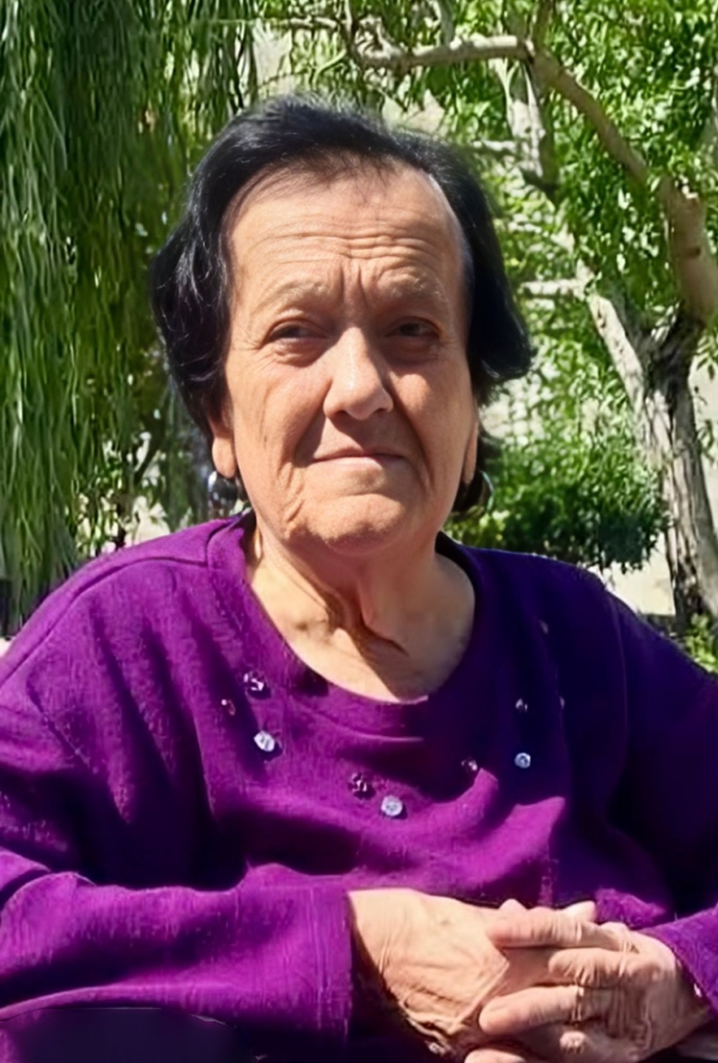 Anna Oliviero
