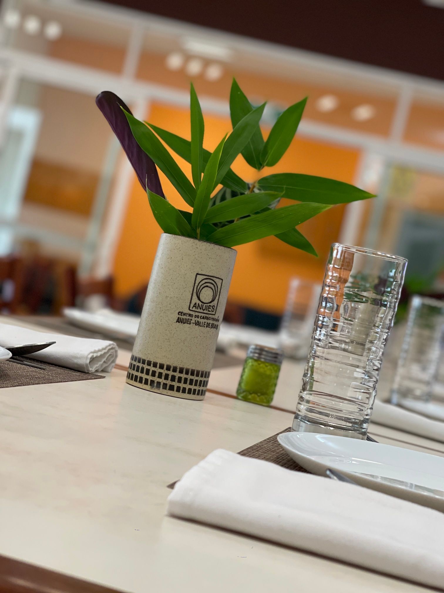 ANUIES Valle de Bravo