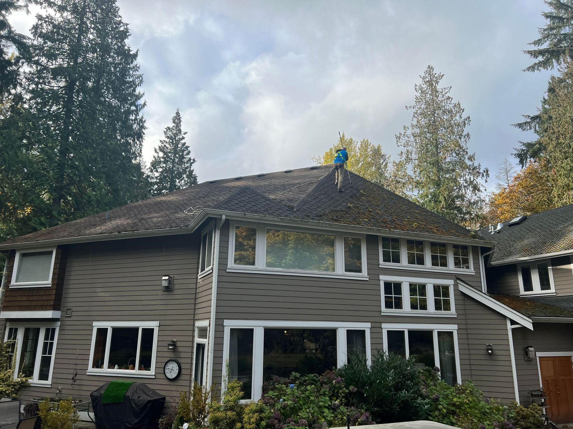 Moss Removal and Zinc Sulfatev