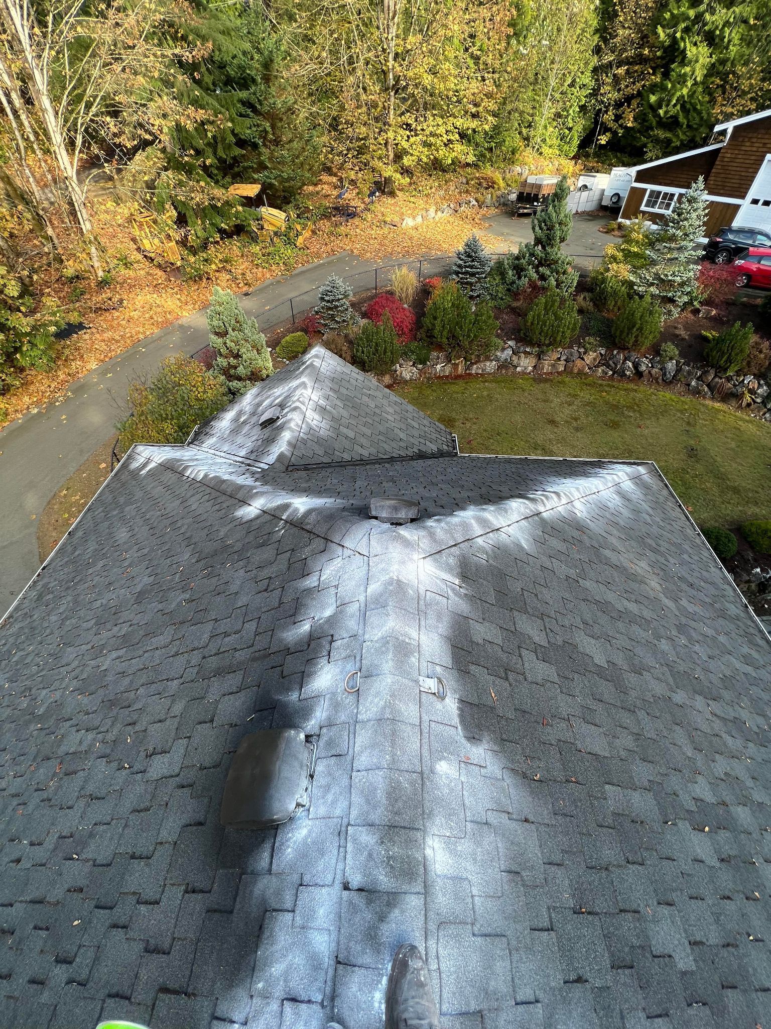 Moss Removal and Zinc Sulfate