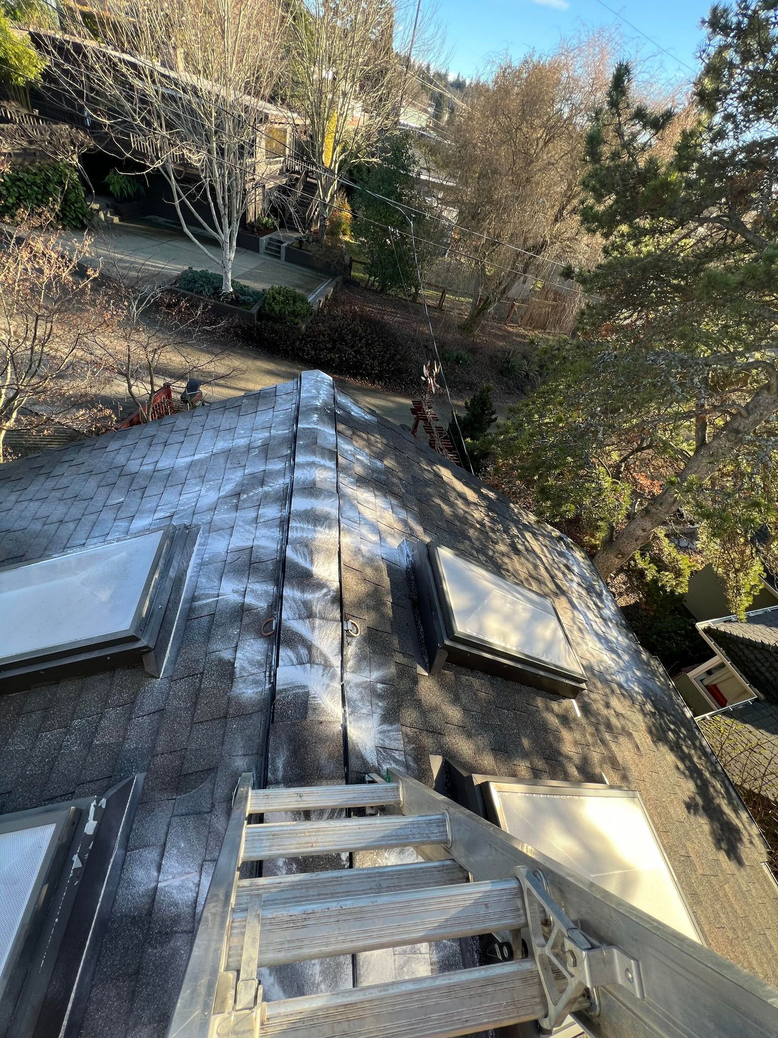 Zinc Sulfate Application