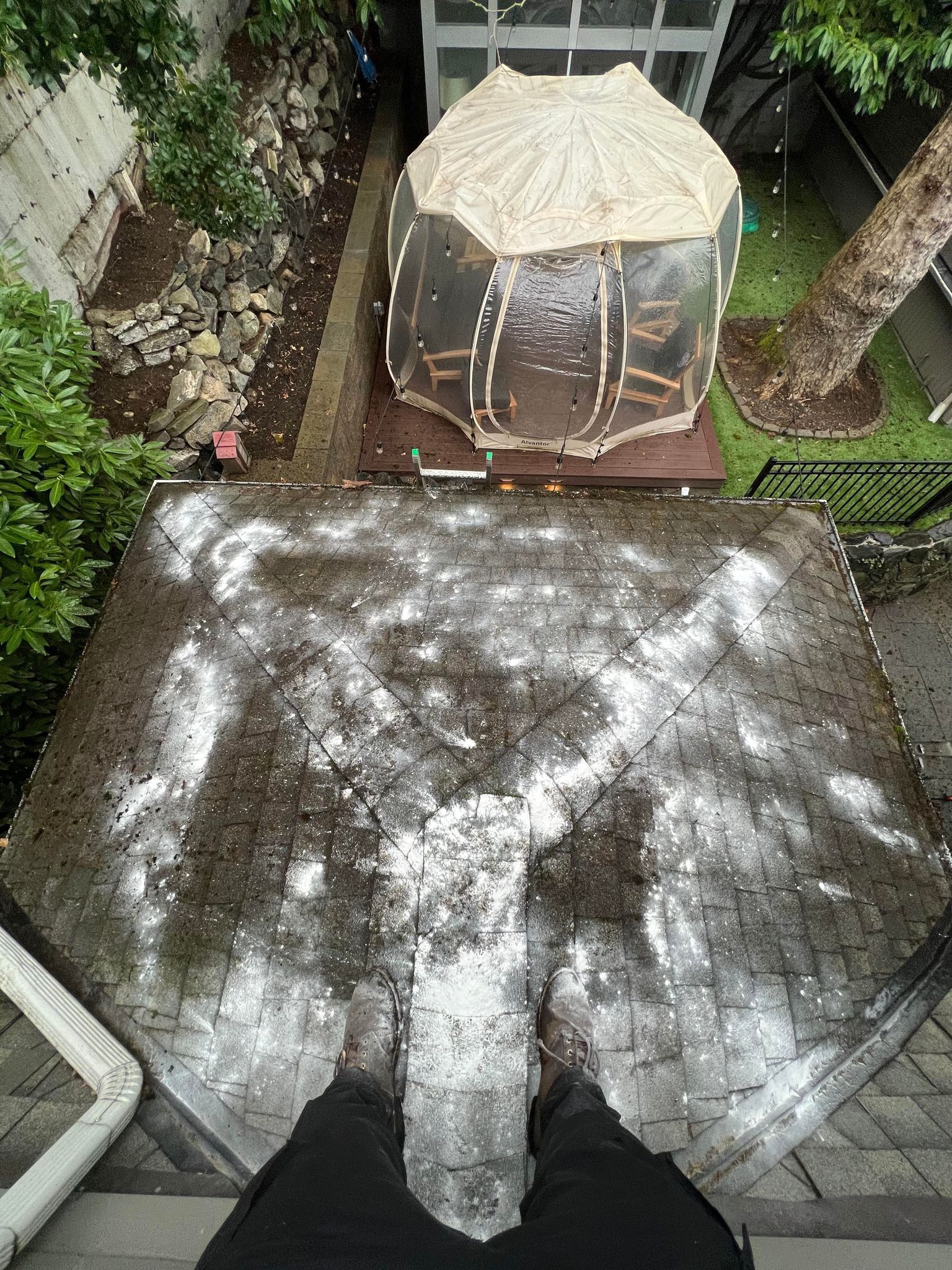 Moss Removal and Zinc Sulfate