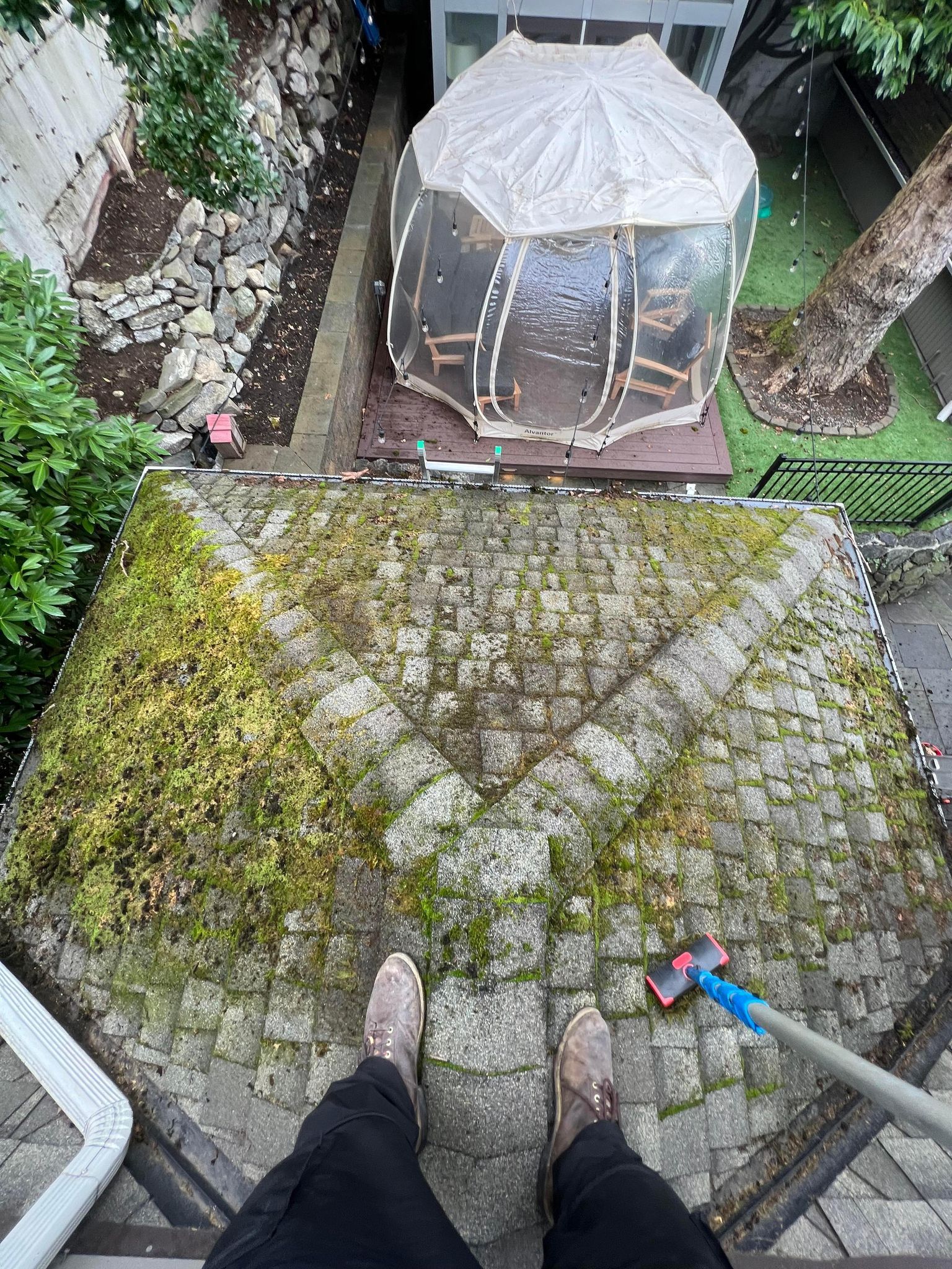 Moss Removal
