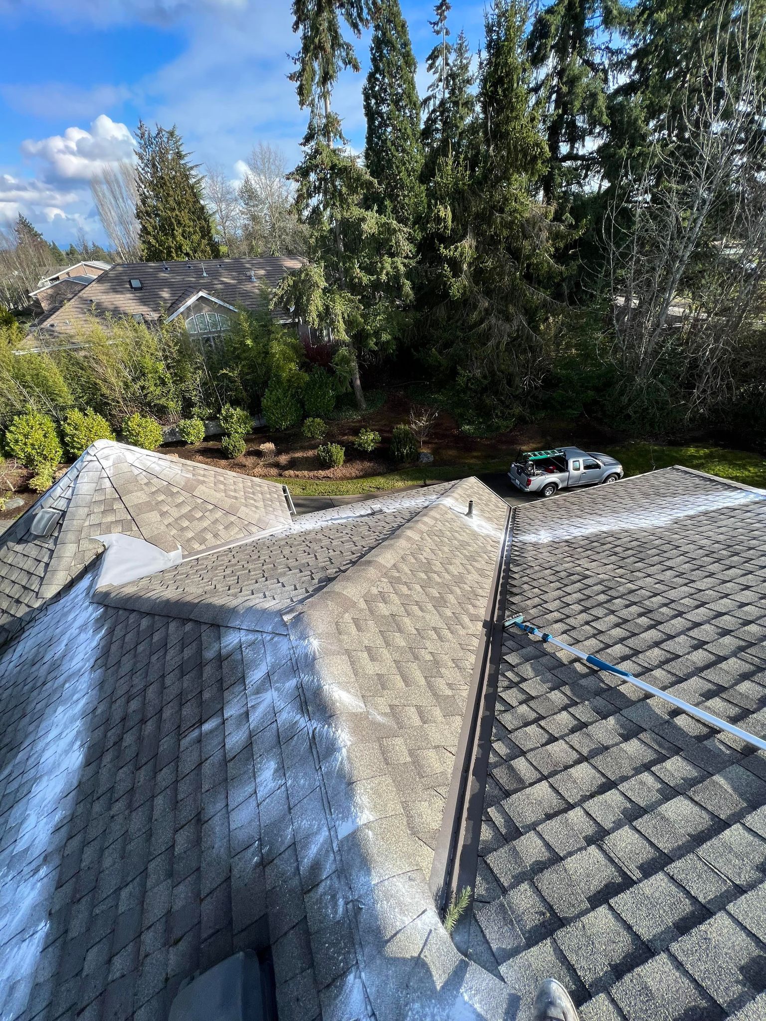 Moss Removal and Zinc Sulfate