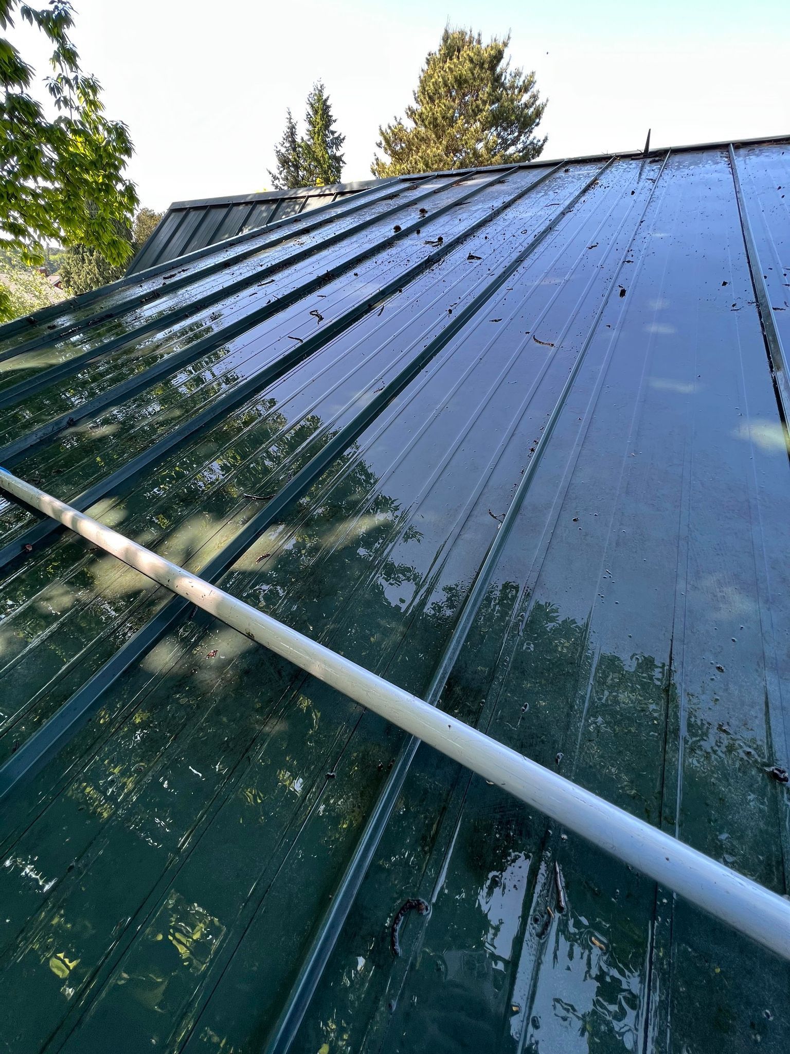 Metal Roof Cleaning
