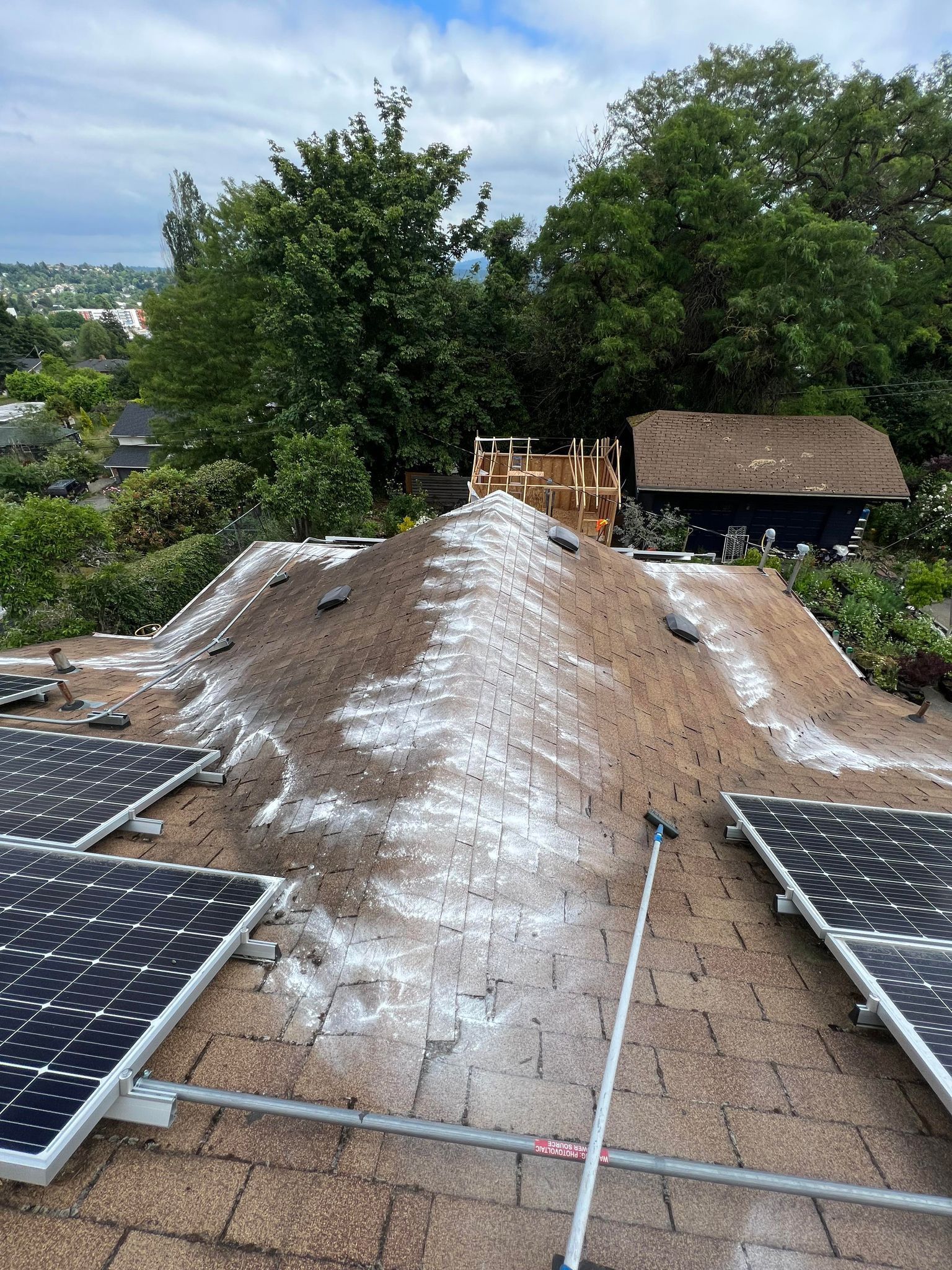 Moss Removal and Zinc Sulfate