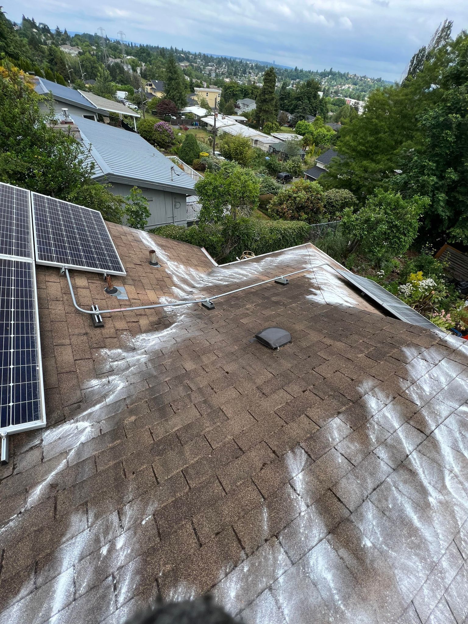 Moss Removal and Zinc Sulfate