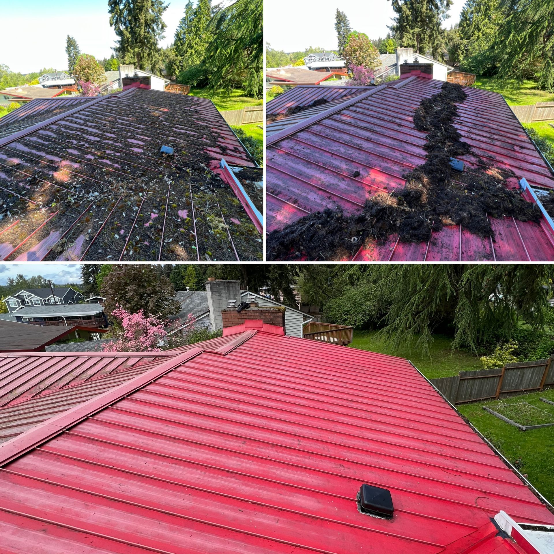 Metal Roof Cleaning