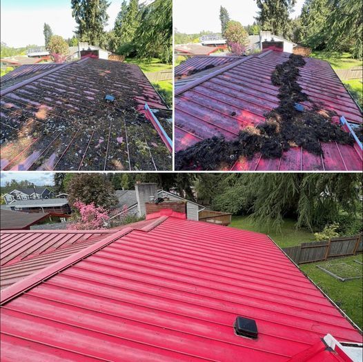 Metal Roof Cleaning