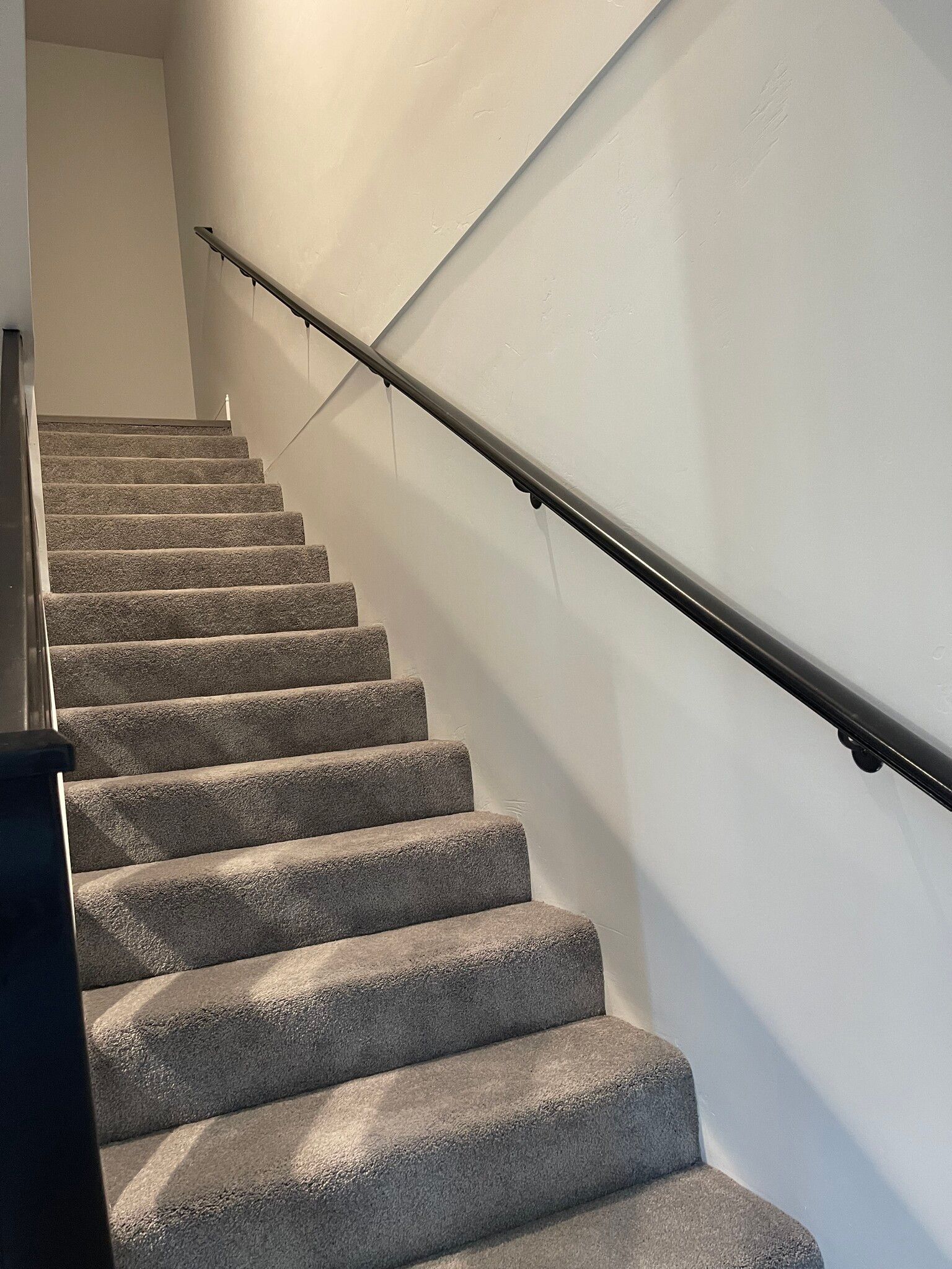 A set of stairs with carpeted steps and a black railing.