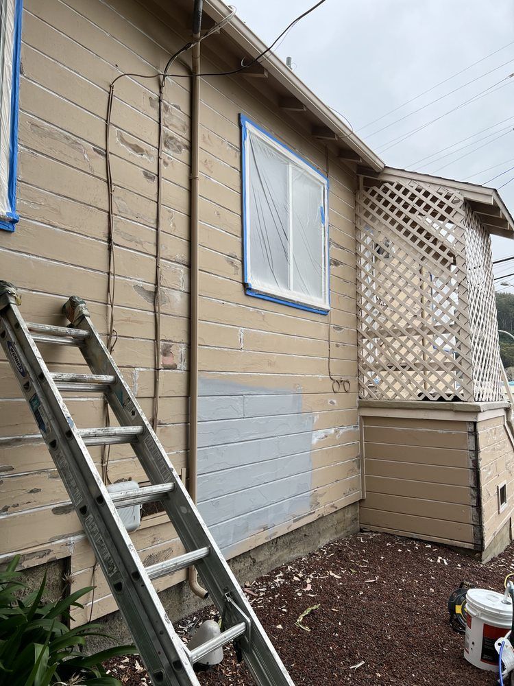 Ladder leaning against a house being painted; beige siding with gray primer patch and window. Ladder leaning against a house being painted; beige siding with gray primer patch and window.
