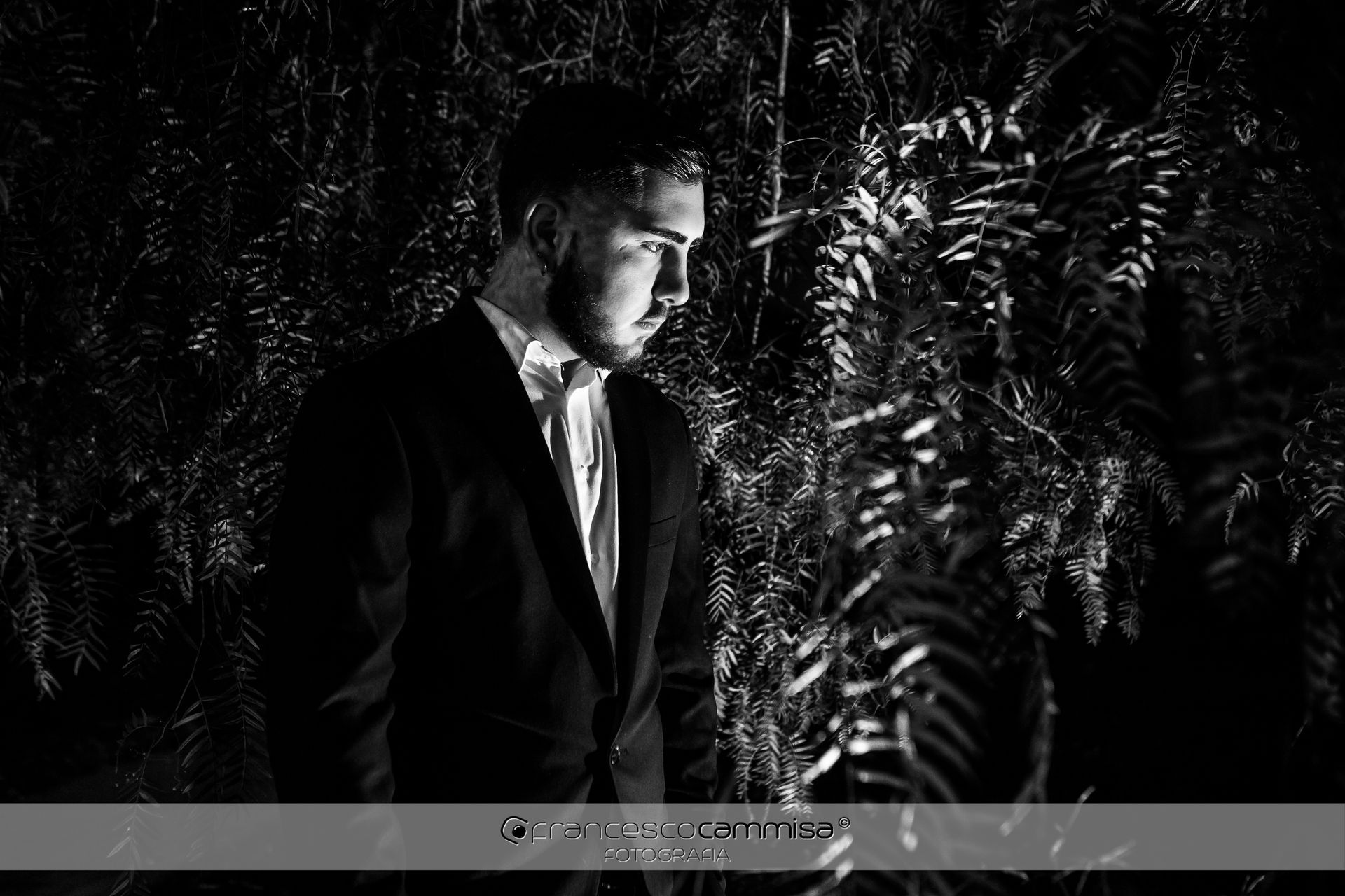 birthday photographs
