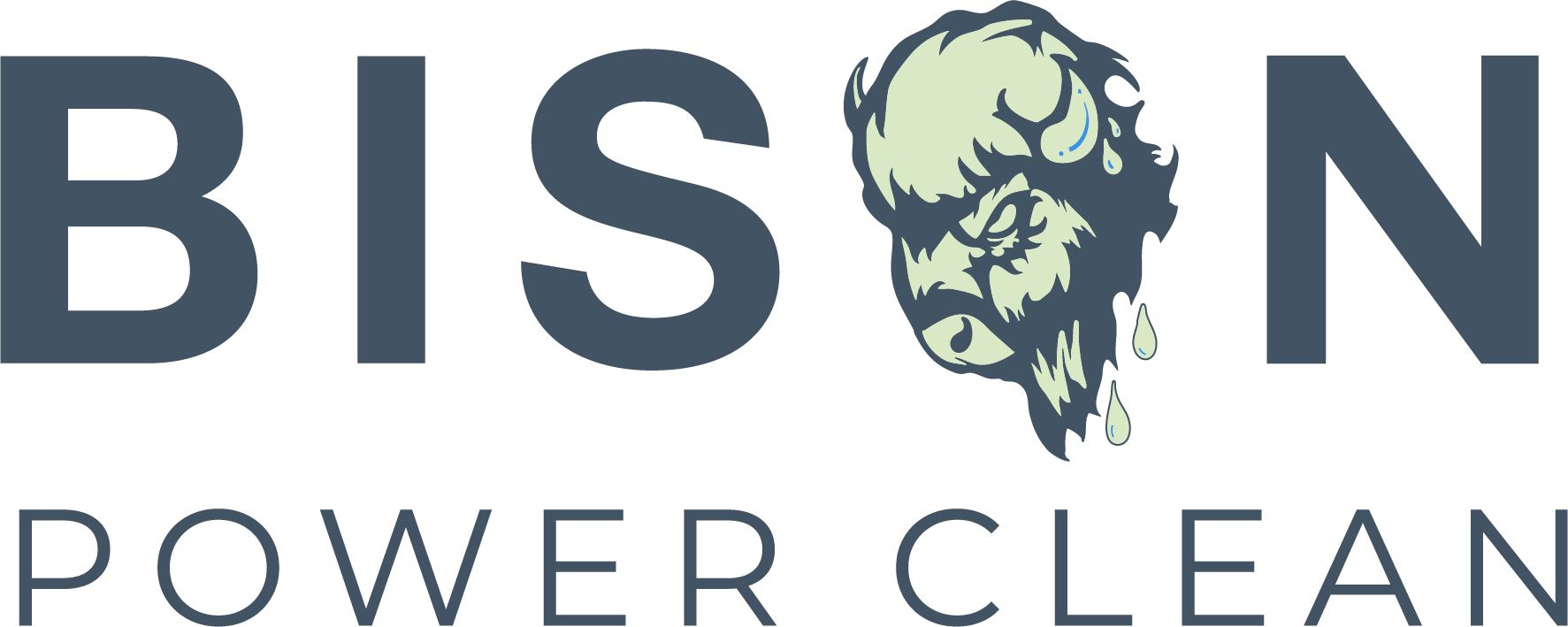 bison power clean logo
