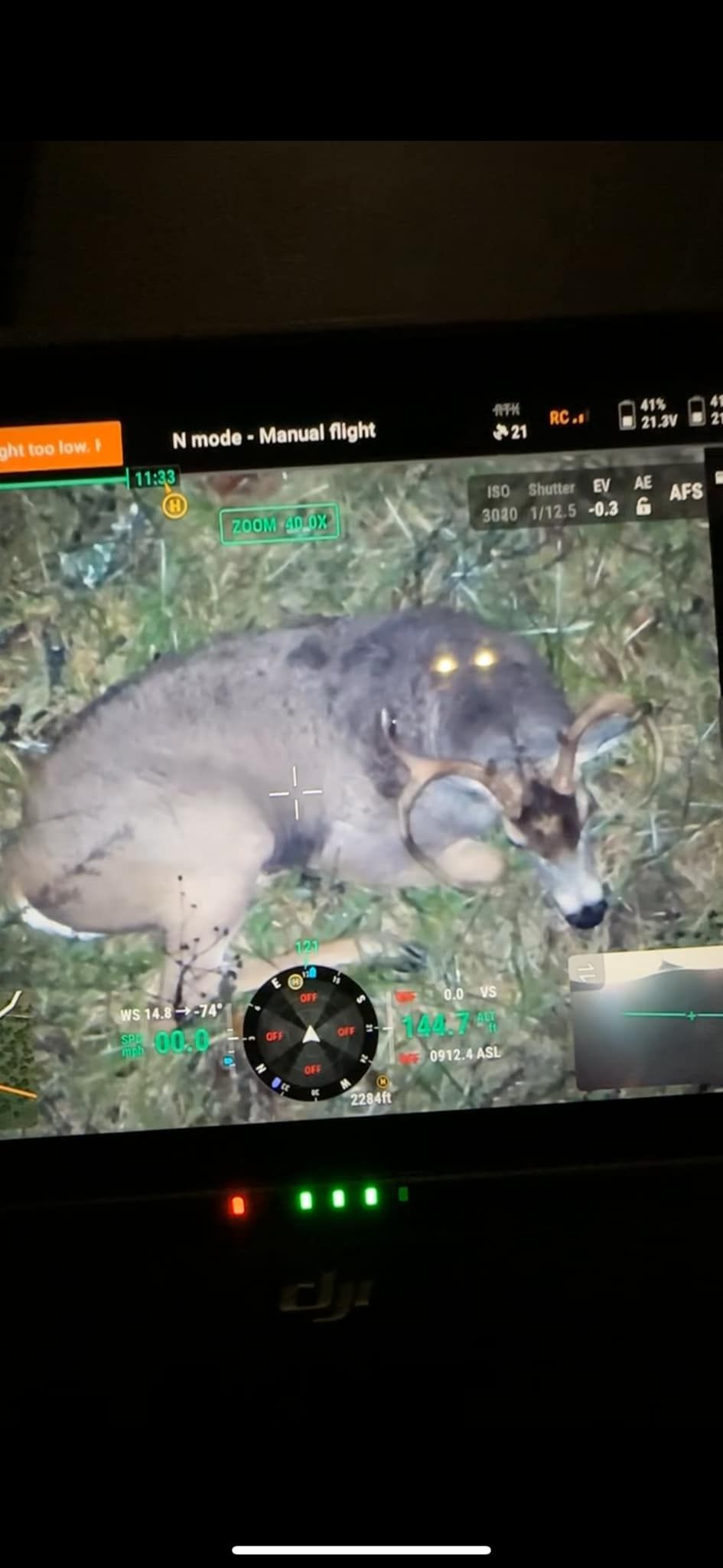 A deer laying on grass, viewed through a screen. Deer has glowing eyes, a scope, and green lights are visible.