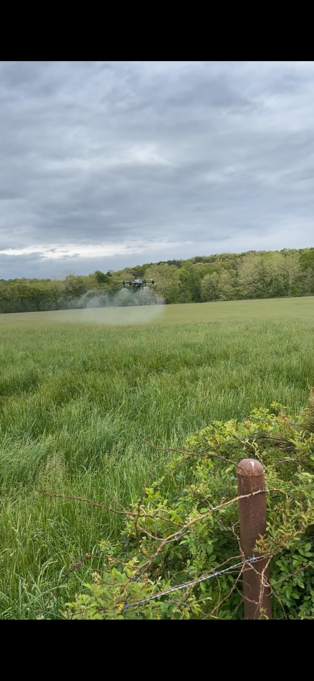 A field of green grass with a tractor spraying, cloudy sky, and fence.