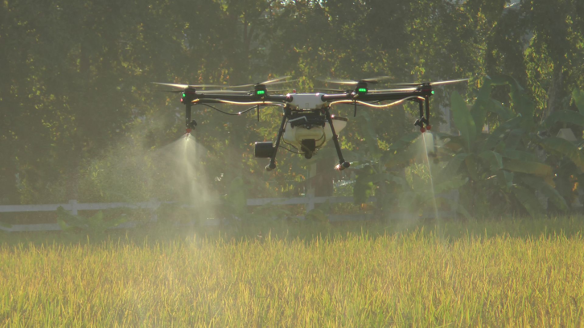 Drone spraying liquid over a field of crops; daylight setting.