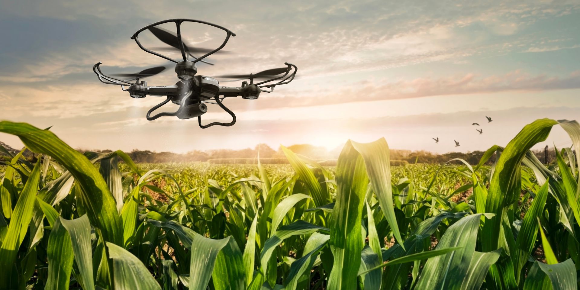 Two men pose with a harvested deer. They're sitting in tall grass, one with a rifle, both smiling, under a dark sky.