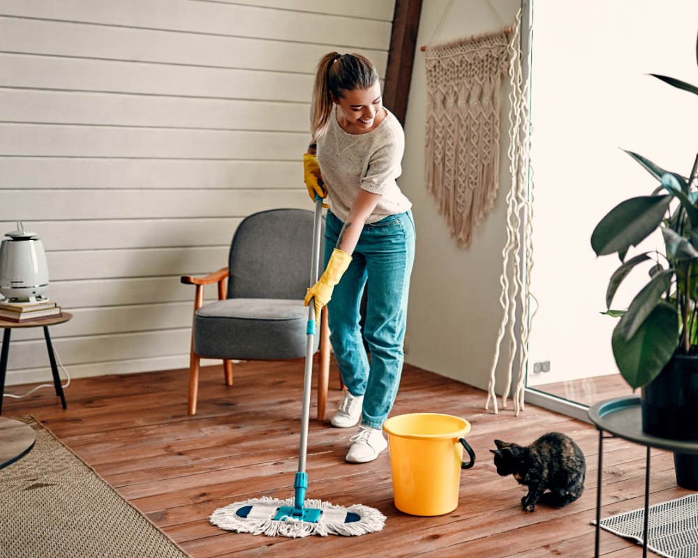 Taylorsville cleaning service