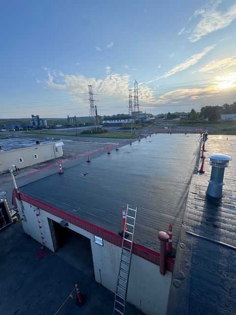 Rooftop view of a building with a flat, dark roof; a ladder leans against the side. Power lines and a hazy sunset in the distance.
