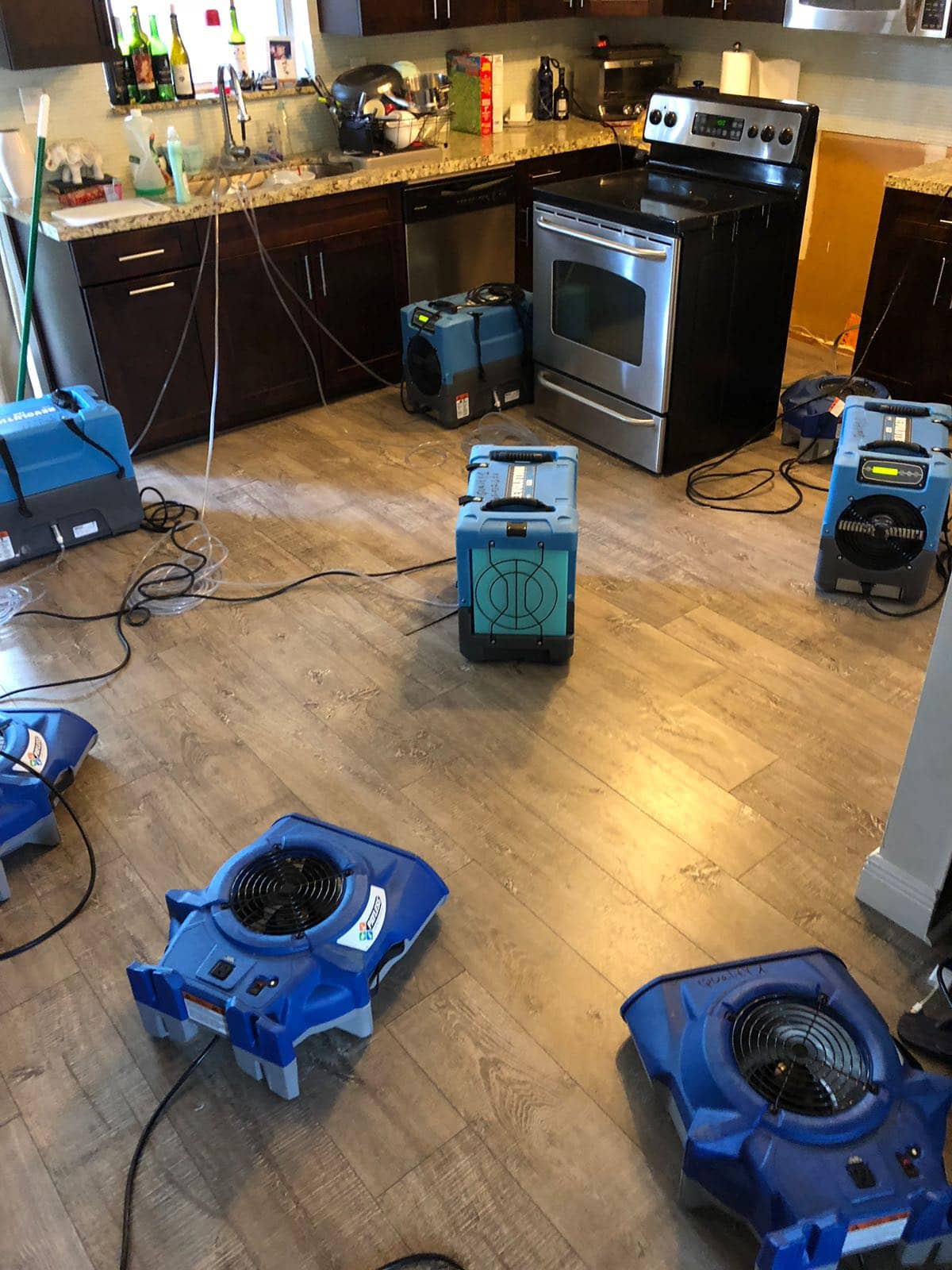 multiple air movers being used in a south florida water extraction job