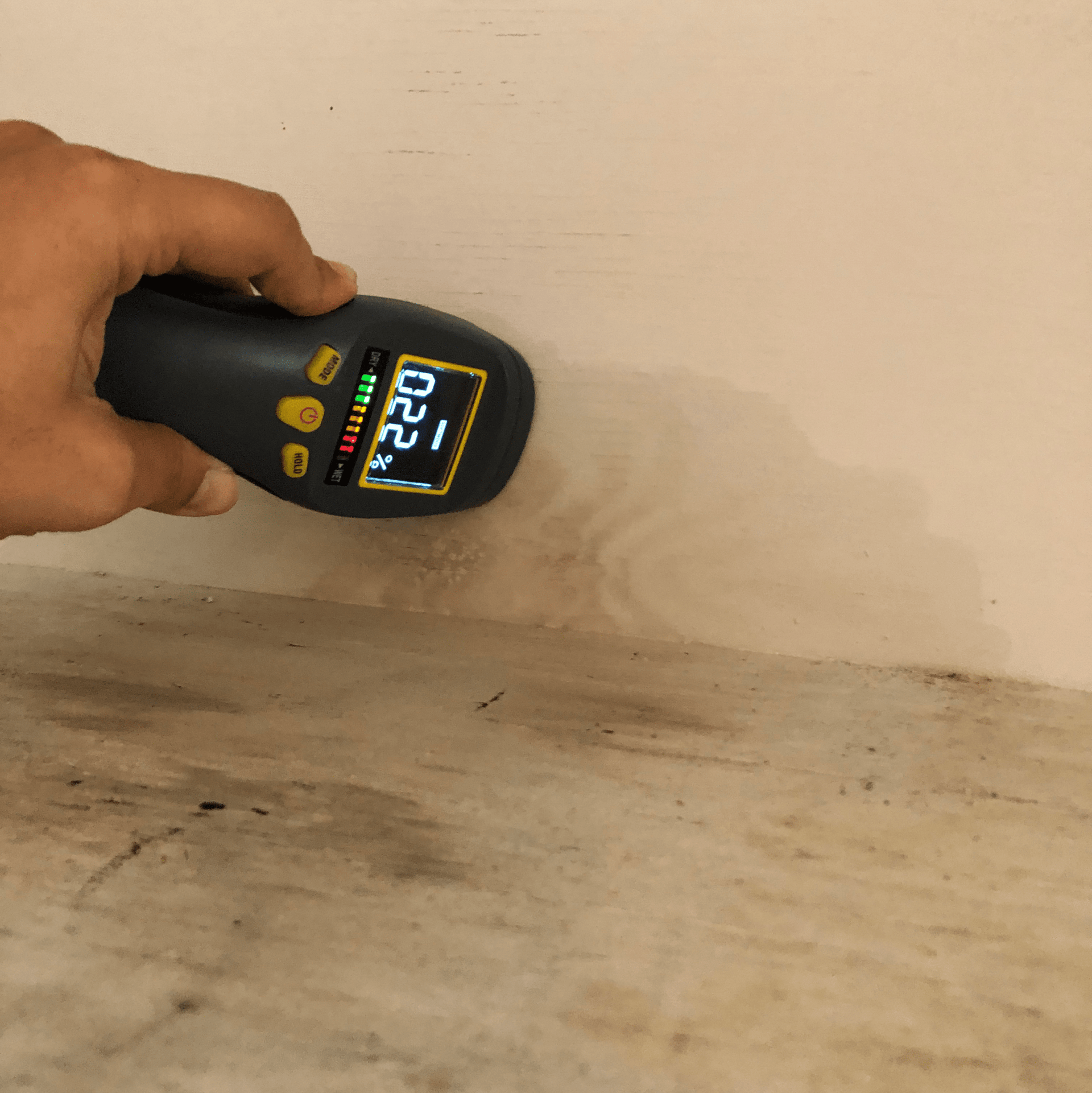 mold inspection testing