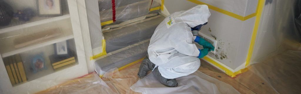 Mold Remediation