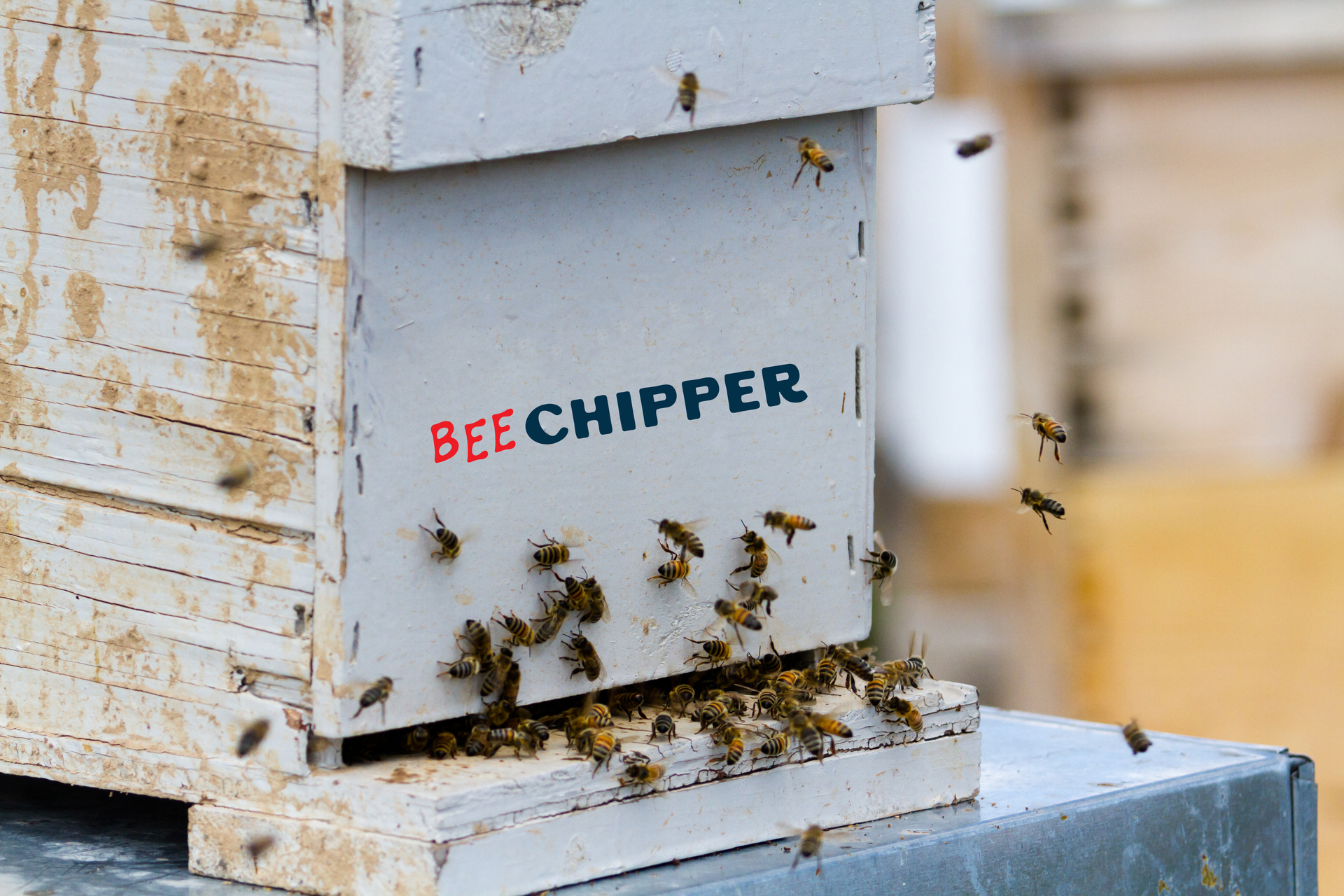 Bees swarming around a white beehive labeled 