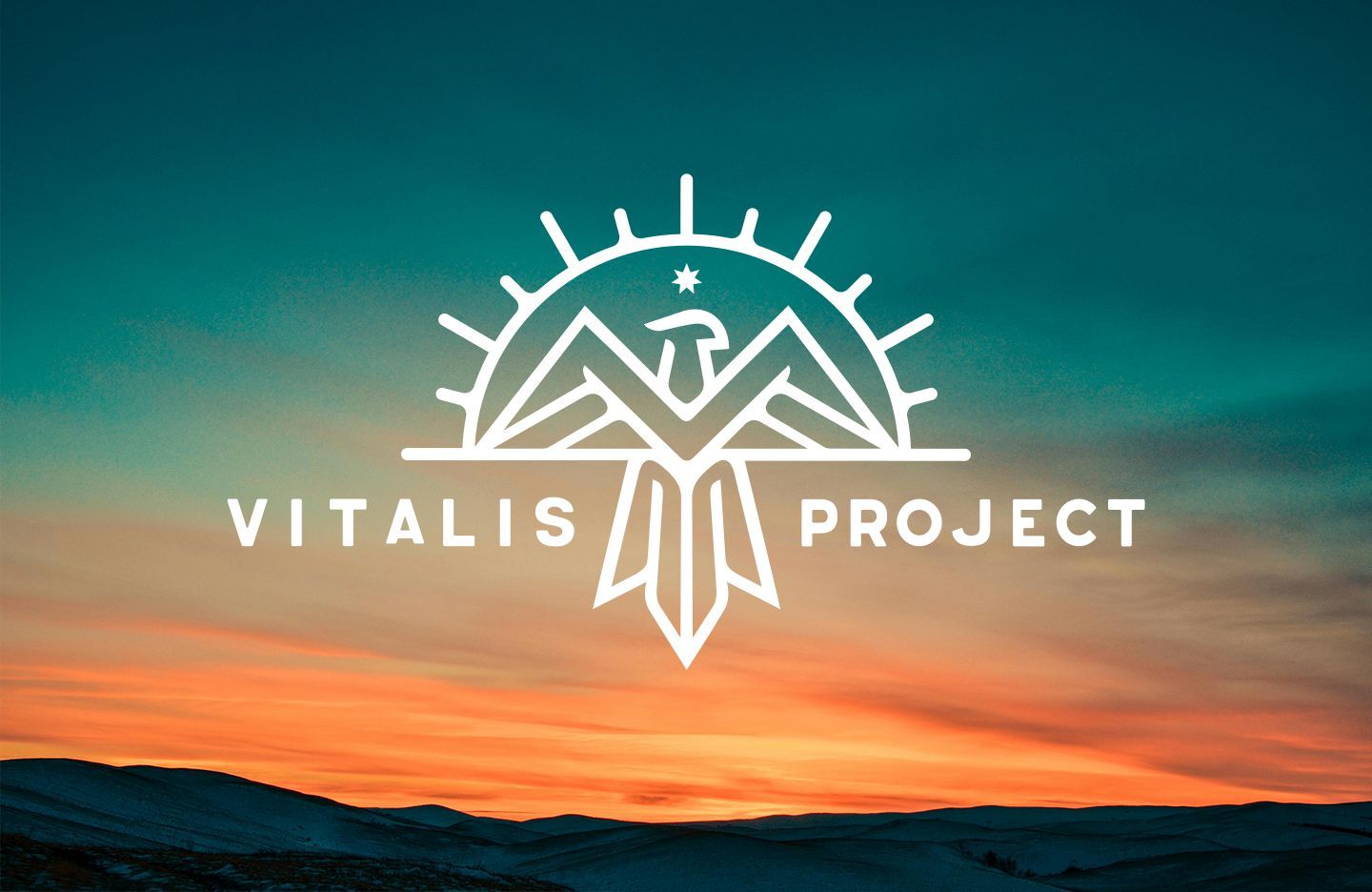 White Vitalis Project logo with mountain and bird design over a colorful sunset.