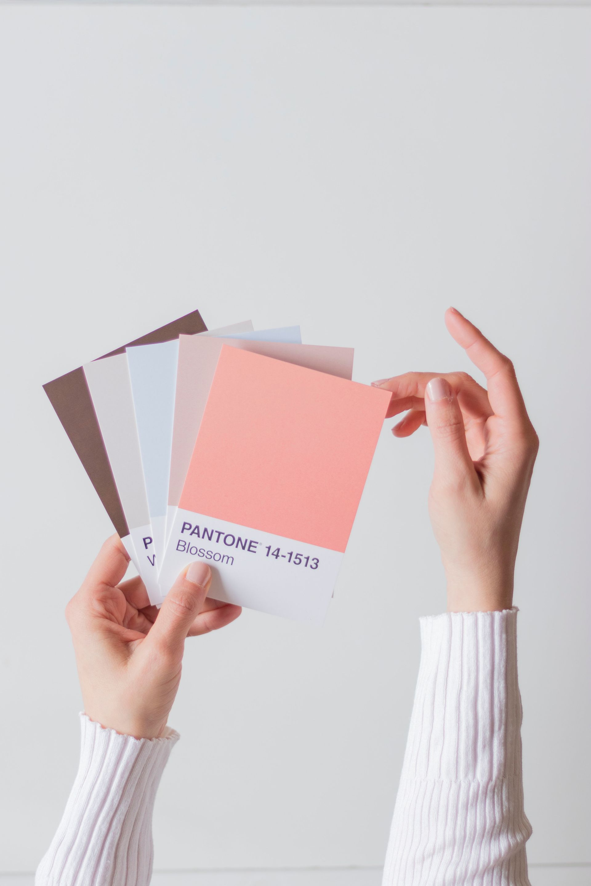 Hands holding a fan of Pantone color swatches, including coral and brown, against a white background.