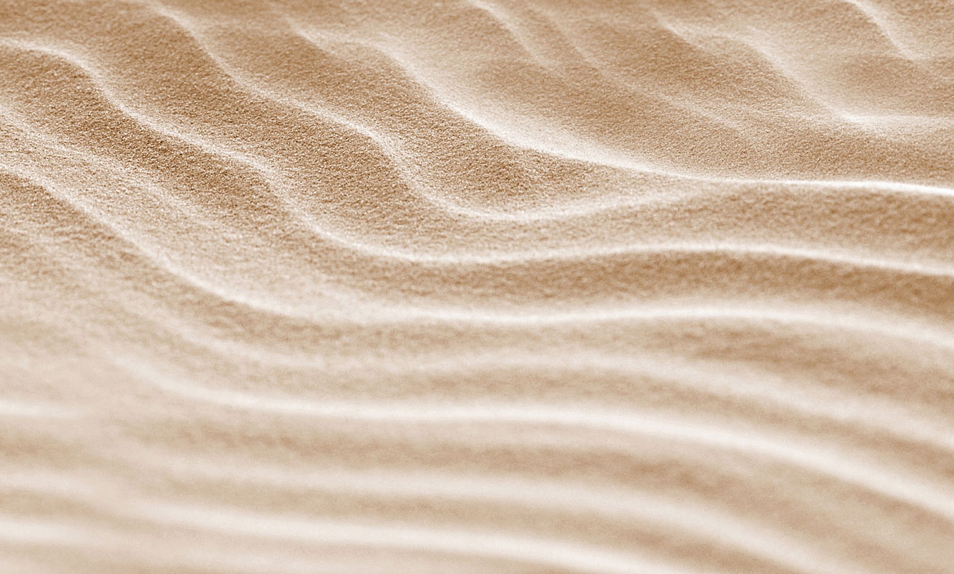 Scallop patterns in sand