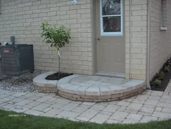 Un petit arbre est posé sur le trottoir devant une maison en brique.