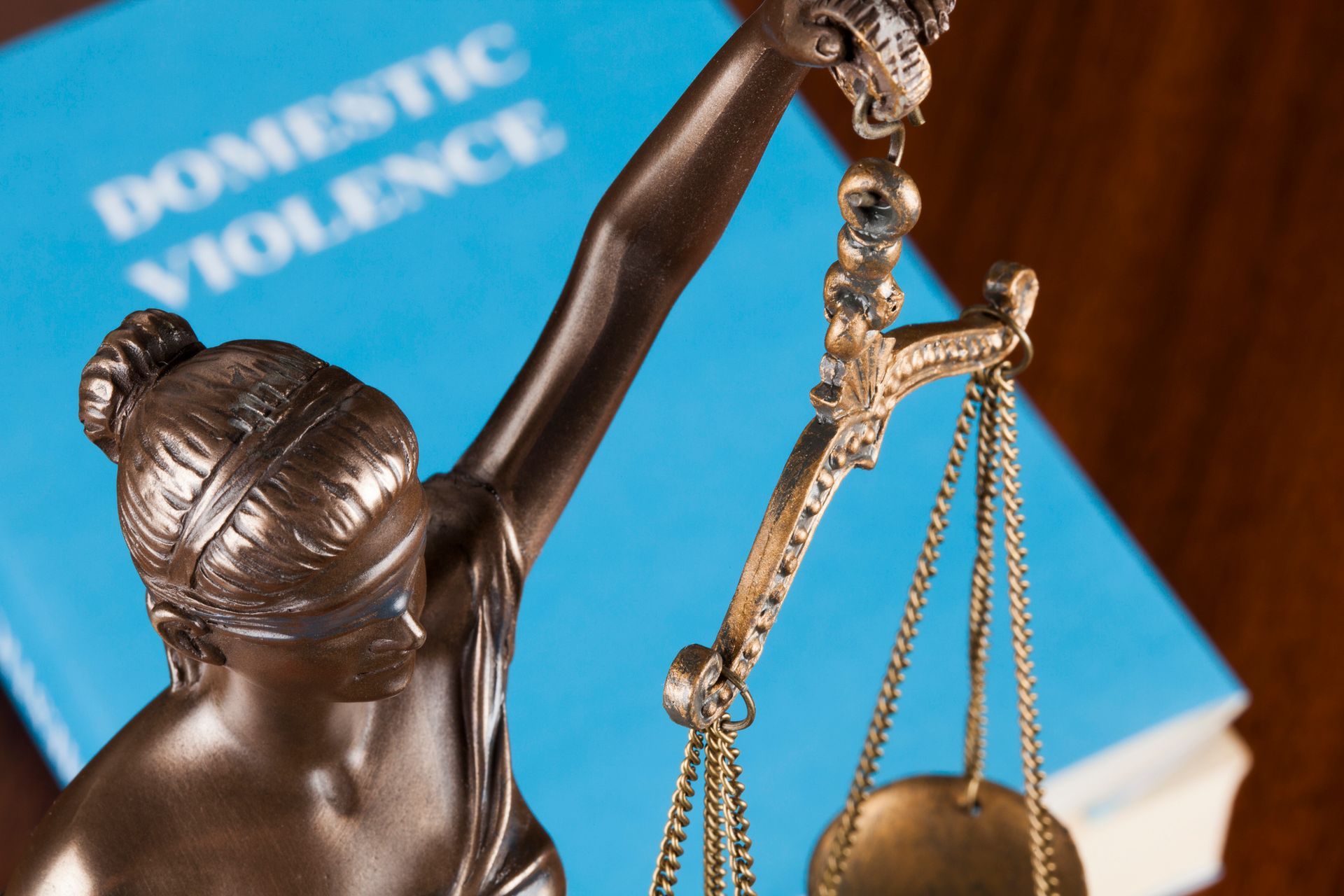 Domestic Violence — Fort Myers, FL — Rubinstein & Holz P.A.