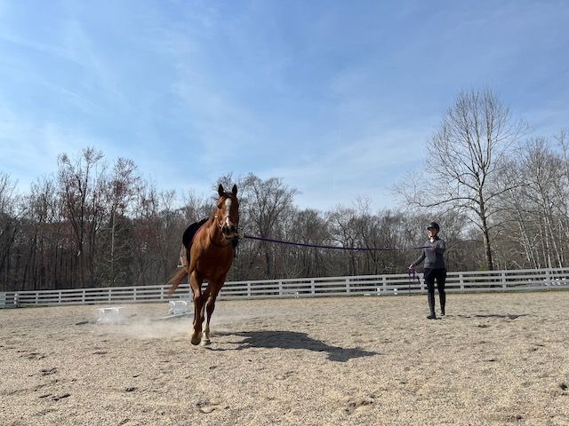 Student on horse riding with instructor