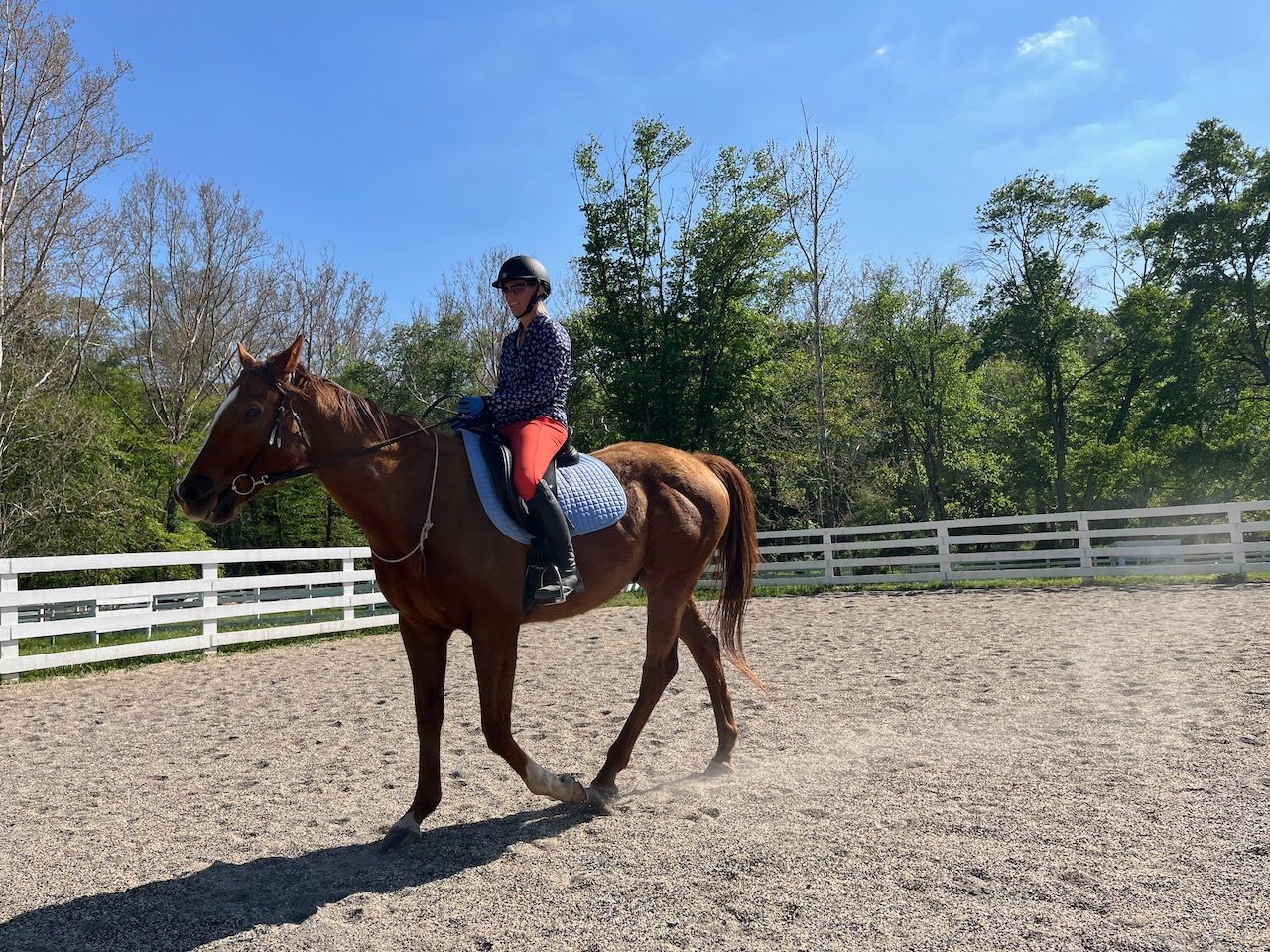 Adult rider during lessons with instructor