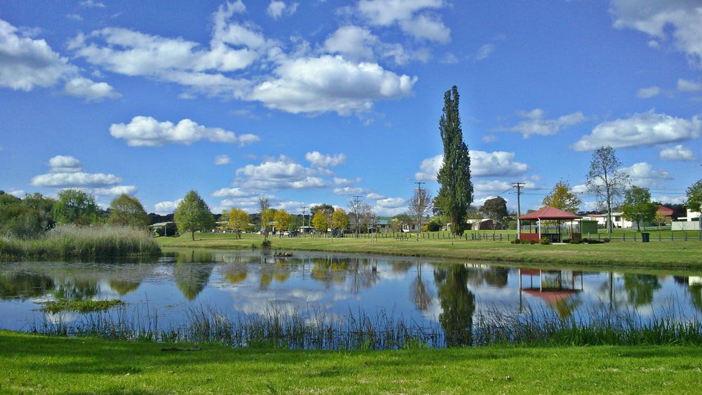 A Lake Surrounded By Grass And Trees On A Sunny Day — Tenterfield Timber & Hardware in Stanthorpe, QLD
