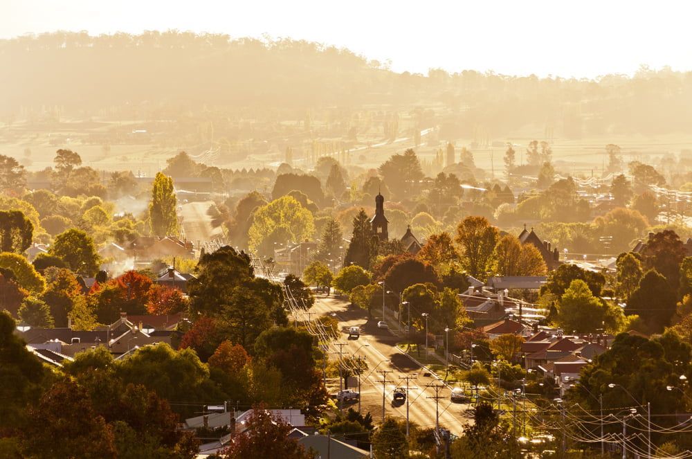 An Aerial View Of A Residential Area With Trees And Houses At Sunset — Tenterfield Timber & Hardware in Glen Innes, NSW