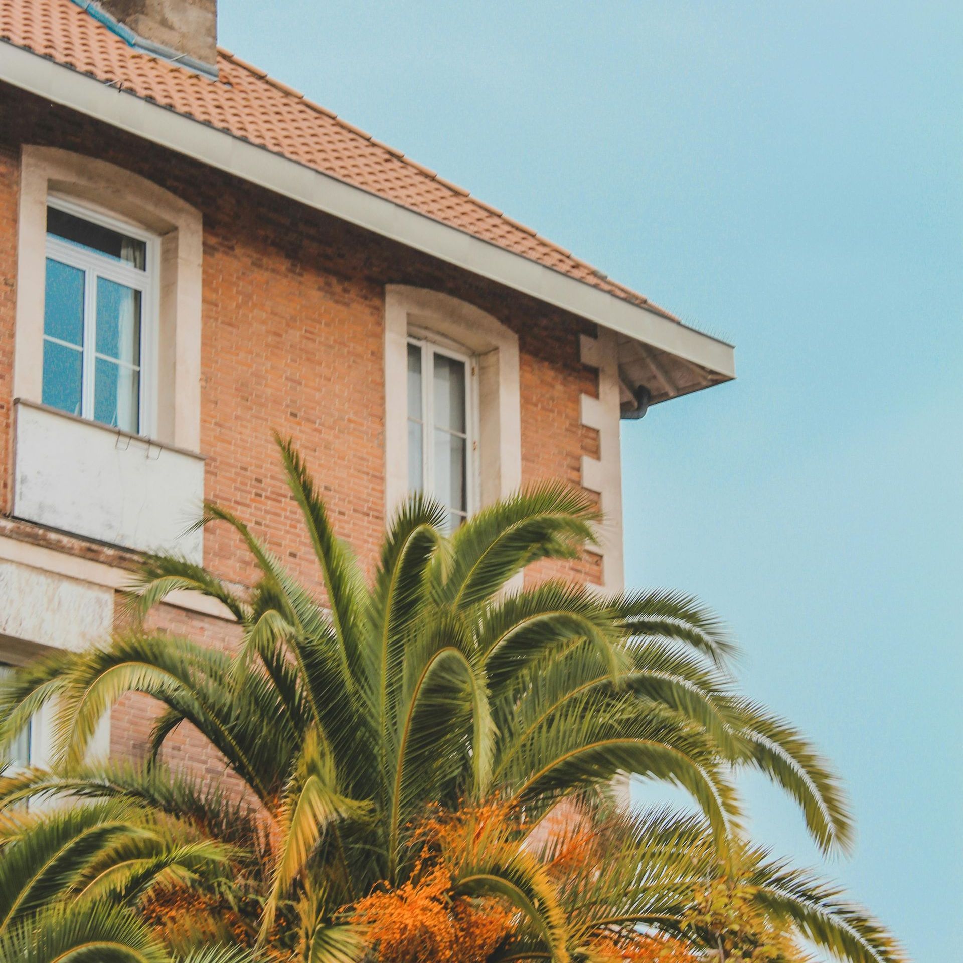 A brick building with a palm tree in front of it