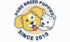 Puppies For Sale - Pure Breed Puppies Since 2010