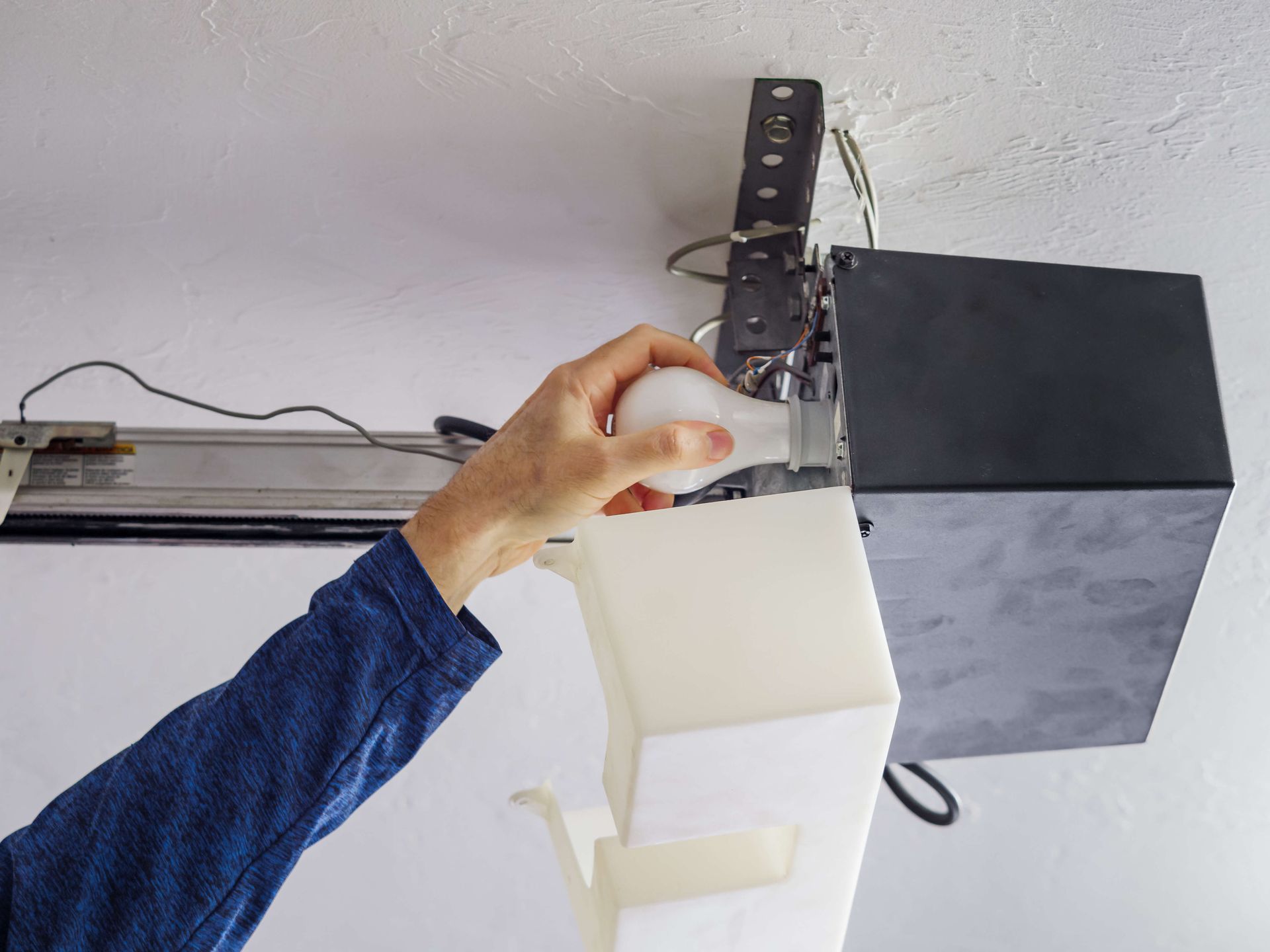 A person is holding a light bulb in their hand.