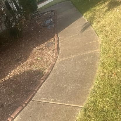A concrete sidewalk with a brick border is surrounded by grass and trees.