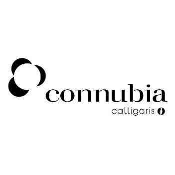 Connubia , Revendedor oficial em Portugal