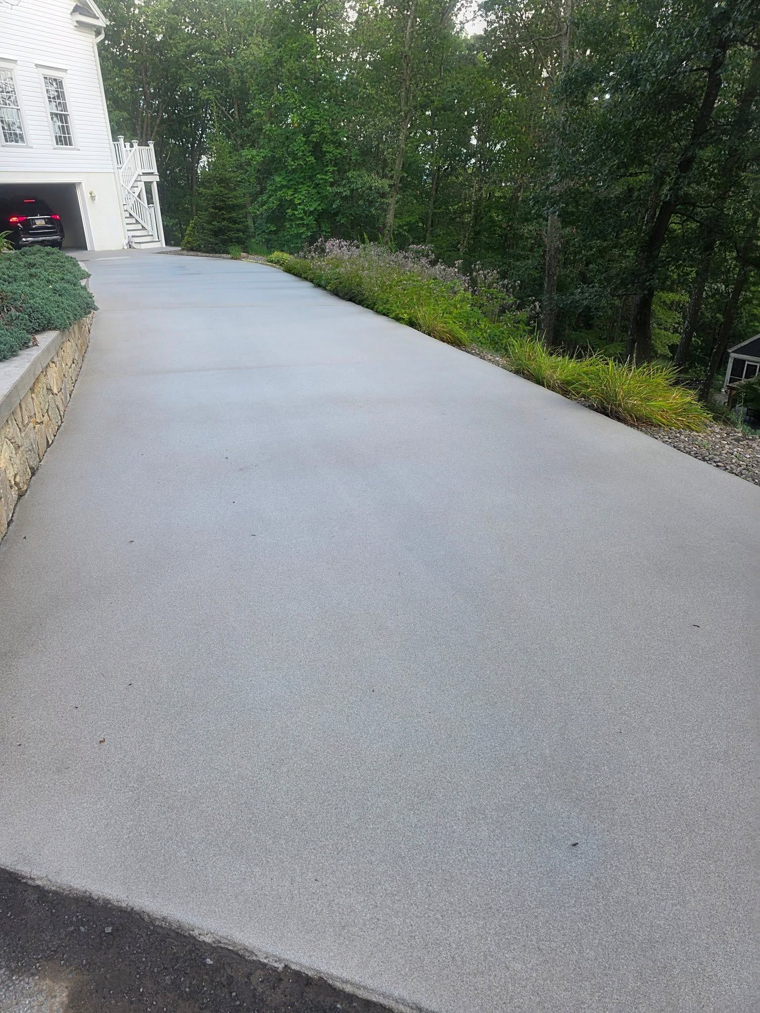 Concrete driveway beside a house, bordered by plants and dense greenery