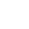 icona fiori