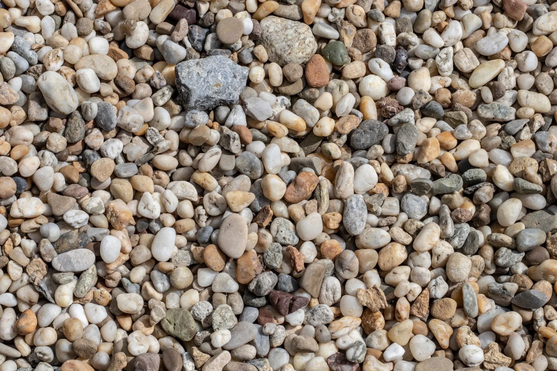 Close-up of a pile of small, smooth pebbles in various shades of tan, gray, and brown.