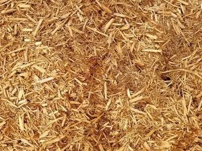 Close-up of golden-brown wood chips scattered on a surface.